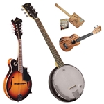 Other Fretted Instruments