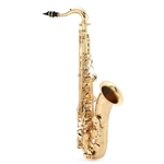 Selmer  Tenor Saxophone Outfit - Advanced STS411