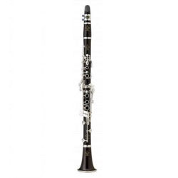 Buffet Crampon R13 Professional A Clarinet w/ Silver Plated Keys BC1231-2-0