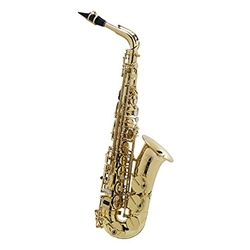 Axos Seles Professional Eb Saxophone by Selmer Paris 52AXOS